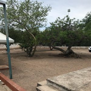 Meet your Posher, Jose